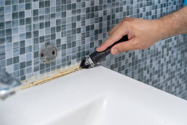 Best Office Mold Removal Services  in Belle Isle, FL