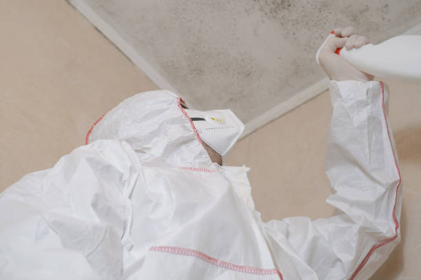 Best Mold Testing  in Belle Isle, FL